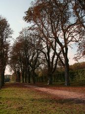 B-Herbststimmung 017.jpg